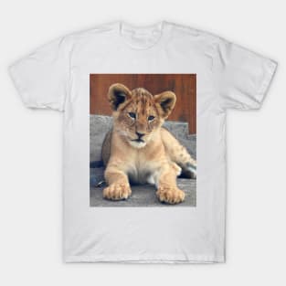 Lion Cub T-Shirt